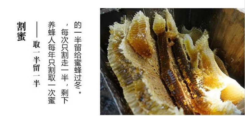 秦岭太白高山绿色无公害土蜂蜜自产自销