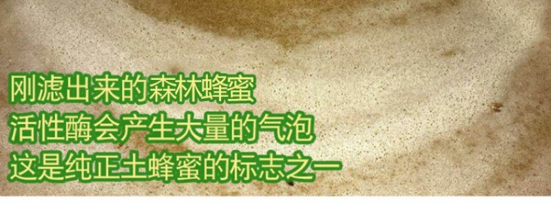 秦岭太白高山绿色无公害土蜂蜜自产自销