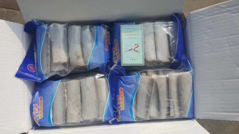 国产带鱼舟山带鱼东海带鱼独立包装带鱼段（7-9）实物如图