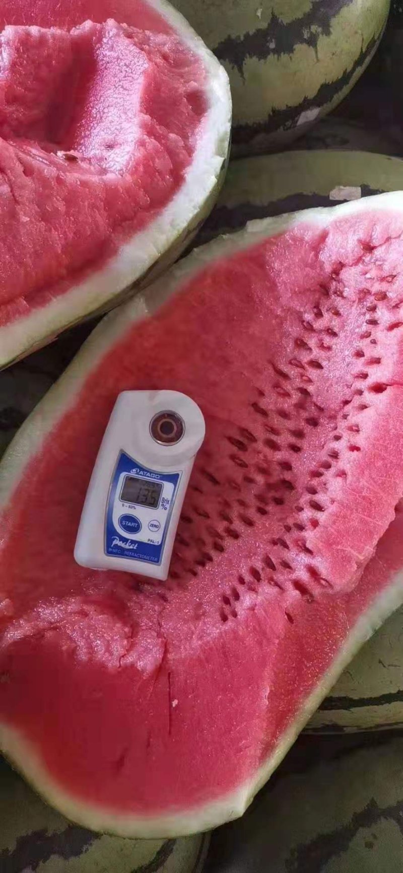 缅甸西瓜