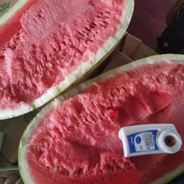 缅甸西瓜