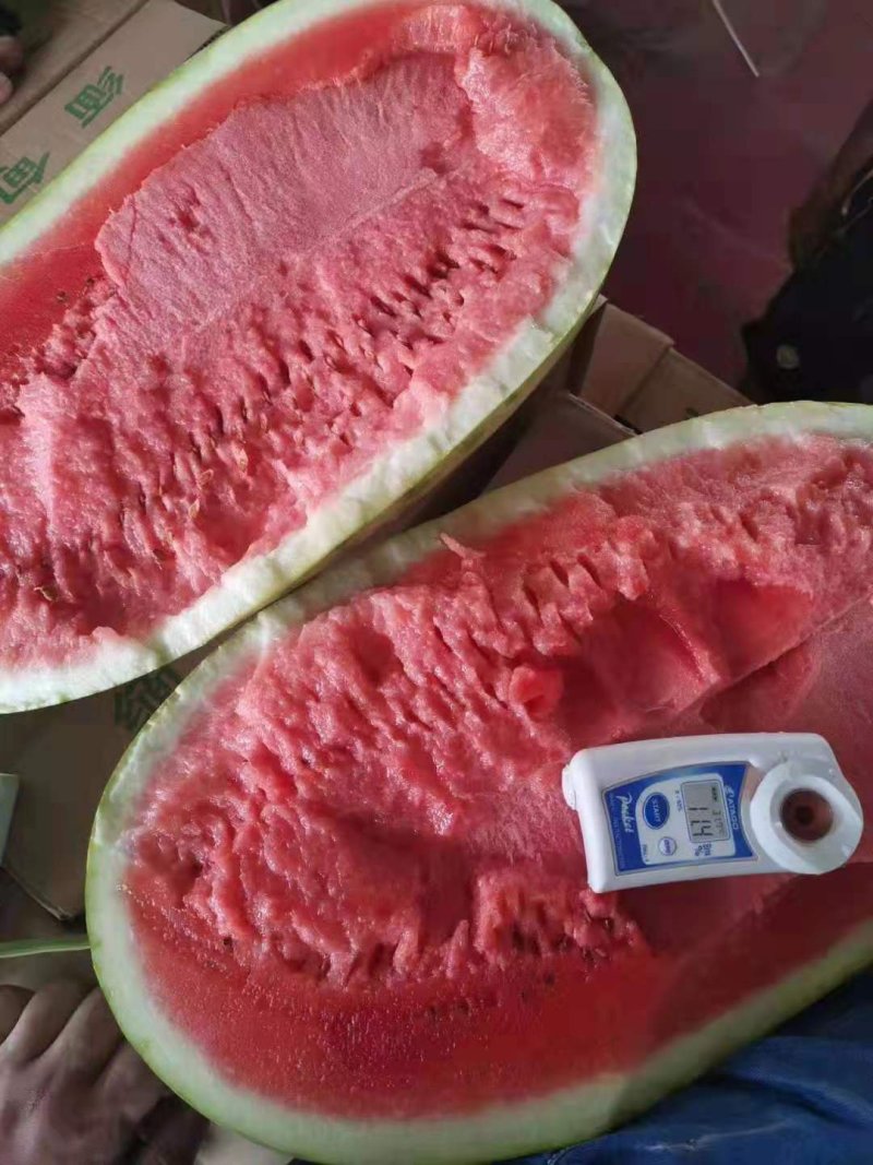 缅甸西瓜