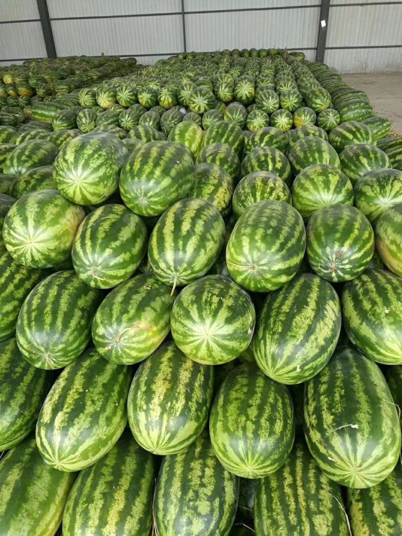缅甸西瓜