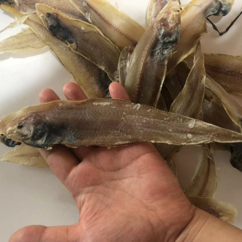 龙利鱼小鱼干鱼干