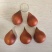 荷兰进口郁金香种球观花植物耐寒多年生花卉