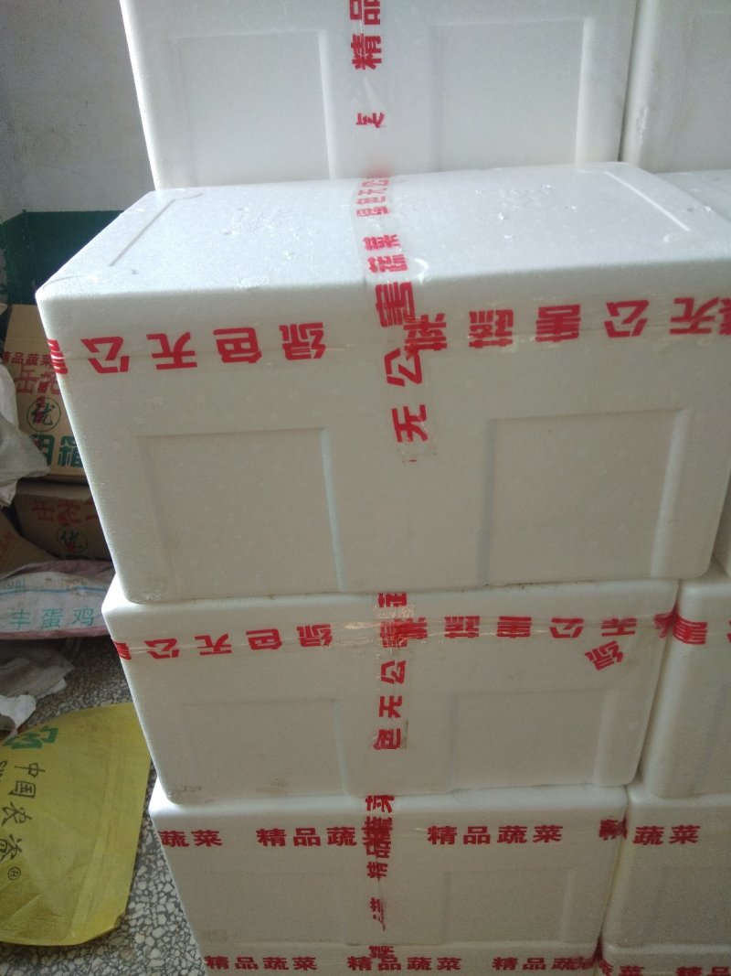 辽宁省海城市精品水黄瓜（亮条瓜）大量上市中，产地直发！