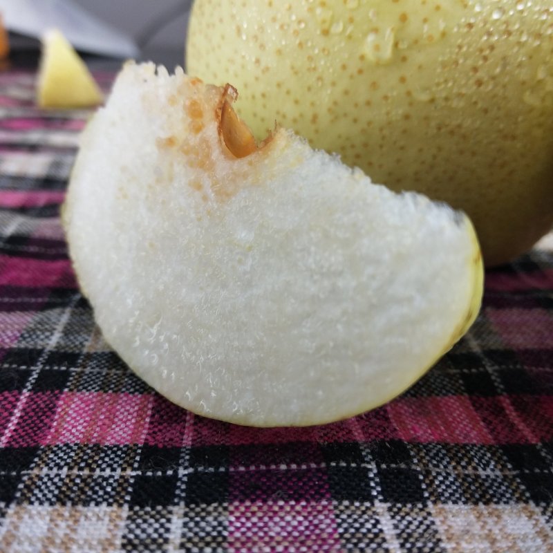 大量大量砀山酥梨0.6钱斤，精品大果，100万斤，