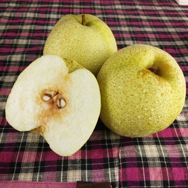 大量大量砀山酥梨0.6钱斤，精品大果，100万斤，