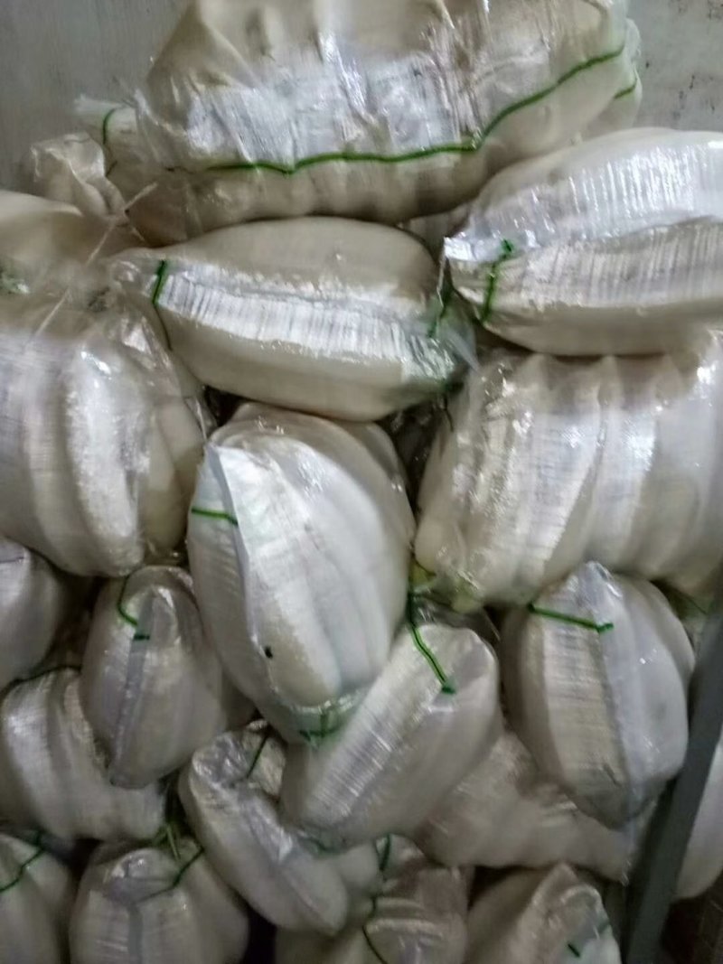 白萝卜