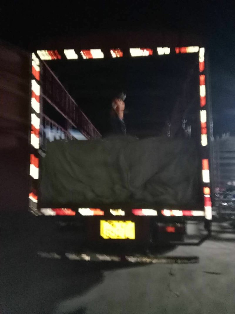 白萝卜