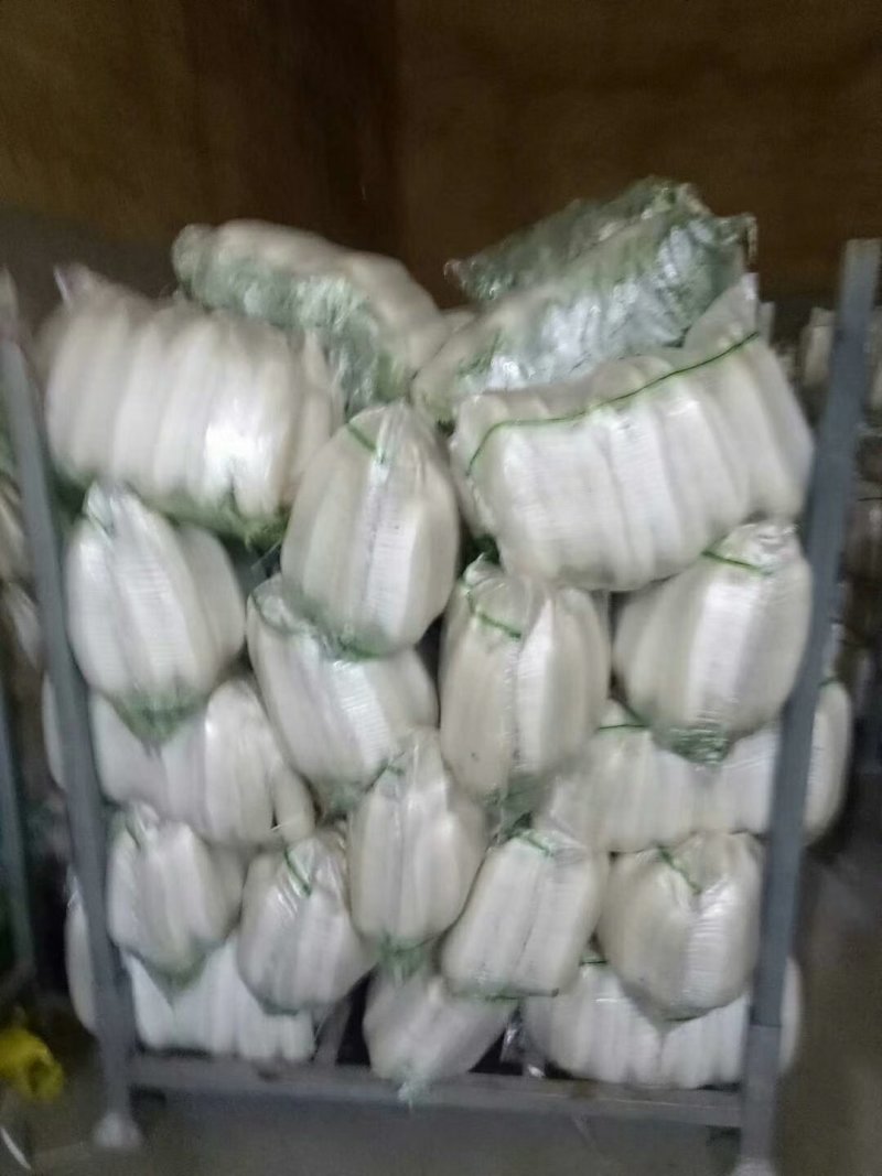 白萝卜
