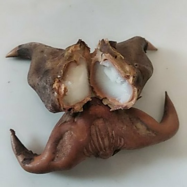 凌角