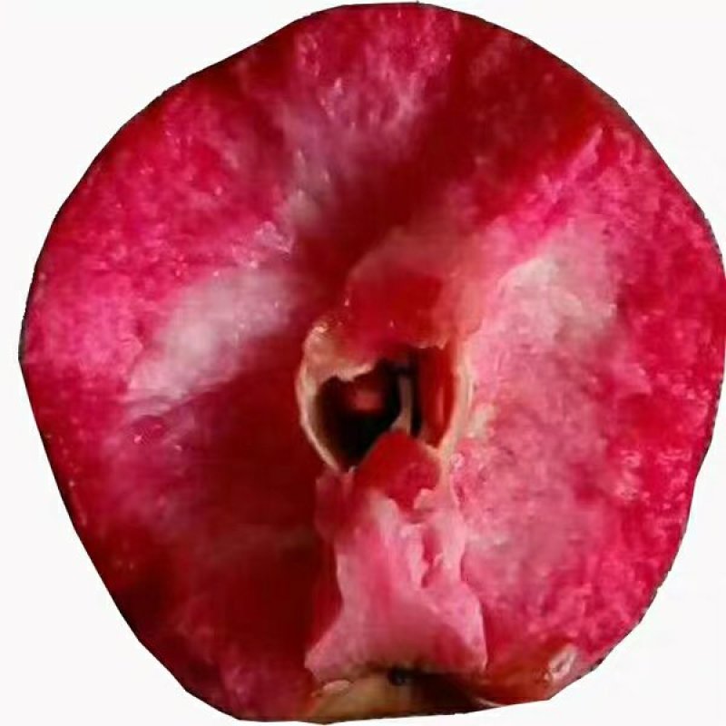 红色之爱，红肉苹果，颜色靓丽，口感独特，基地直供