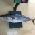 一等货黄金鲅黄狮鱼黄尖鱼鲅鱼，鰤鱼量大优惠