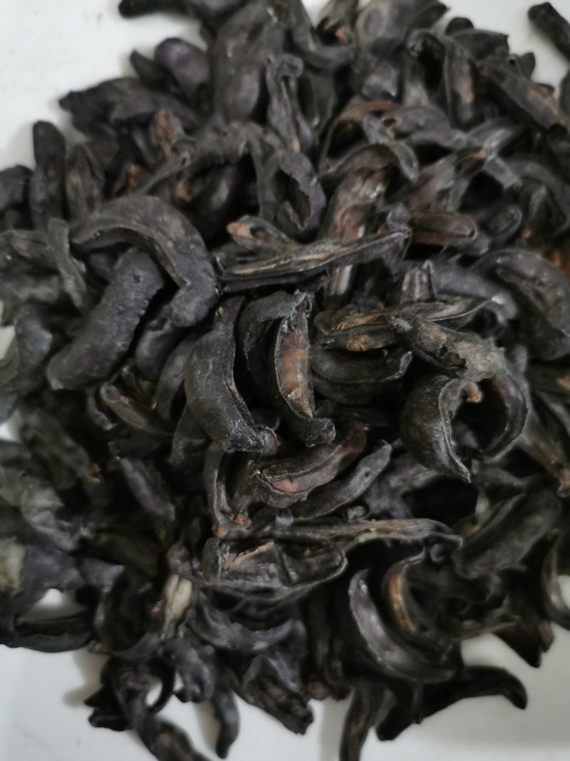 中药材蛞蝓/鼻涕虫/陵蠡/附蜗/蜒蚰/托胎虫