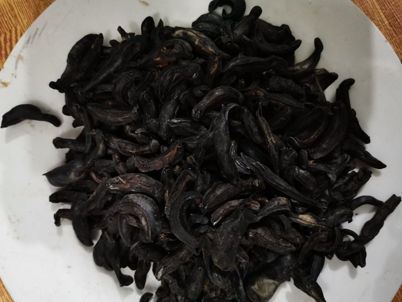 中药材蛞蝓/鼻涕虫/陵蠡/附蜗/蜒蚰/托胎虫