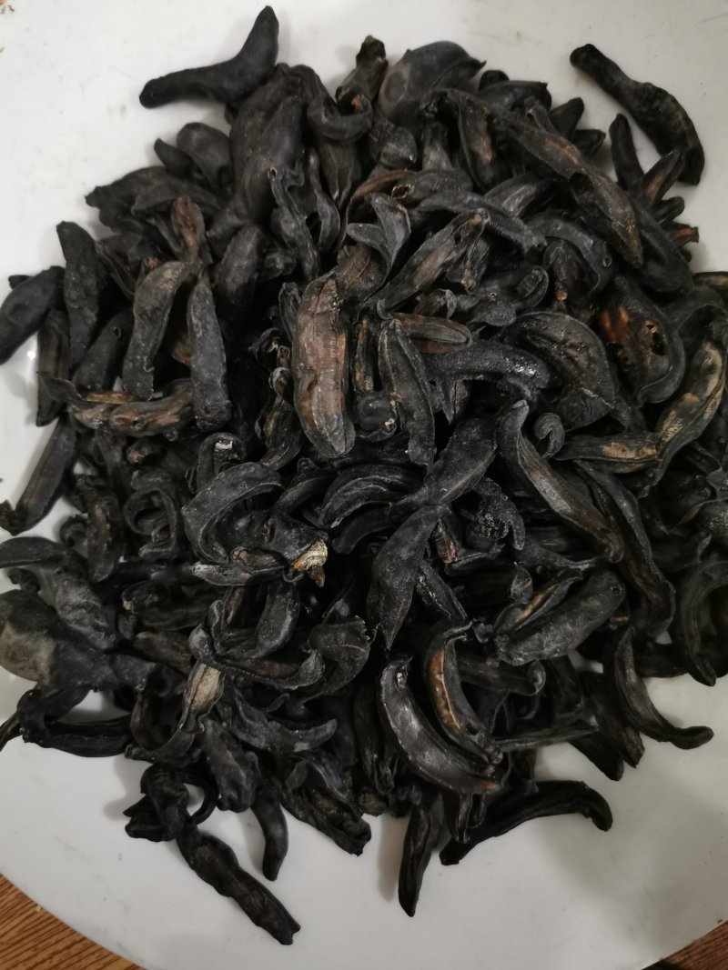 中药材蛞蝓/鼻涕虫/陵蠡/附蜗/蜒蚰/托胎虫