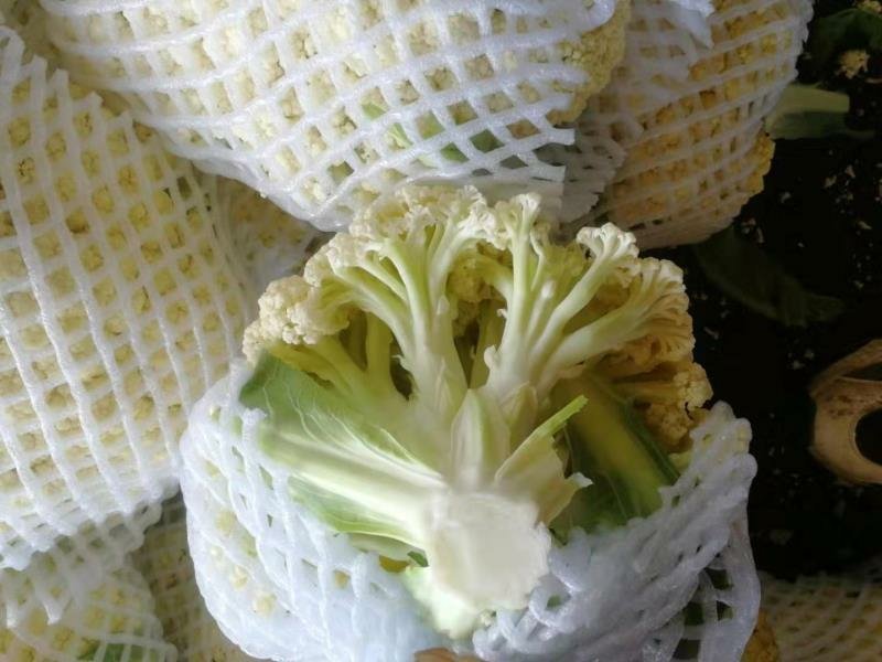 精品有机菜花，质量优，颜色白