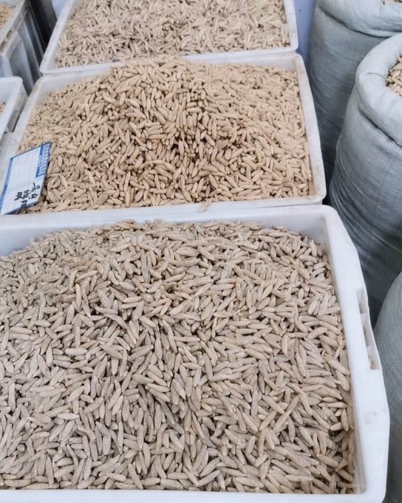 麦冬四川省绵阳市麦冬产地直销处，量大从优