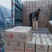 山东太空椒/精品太空椒/新鲜辣椒/基地直供对接全国市场