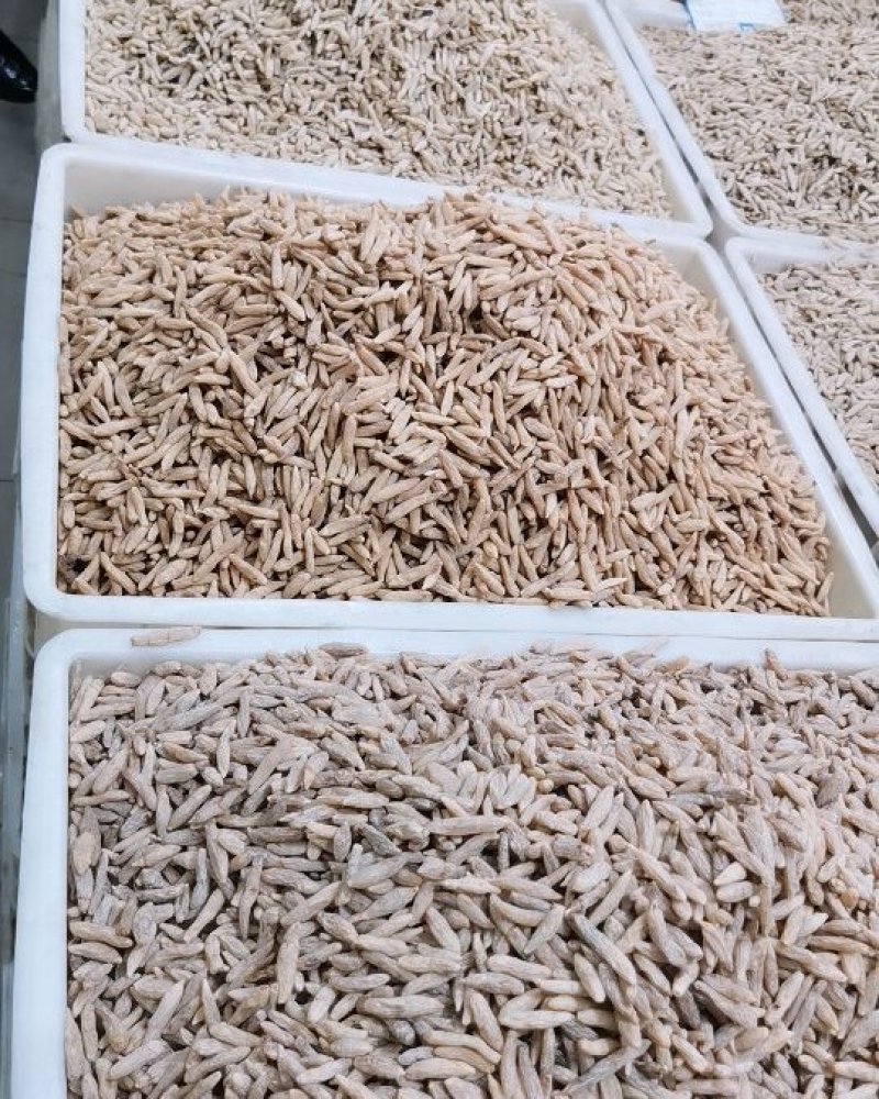 麦冬四川省绵阳市麦冬产地直销处，量大从优