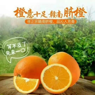 赣南脐橙现摘现发一件代发批发。