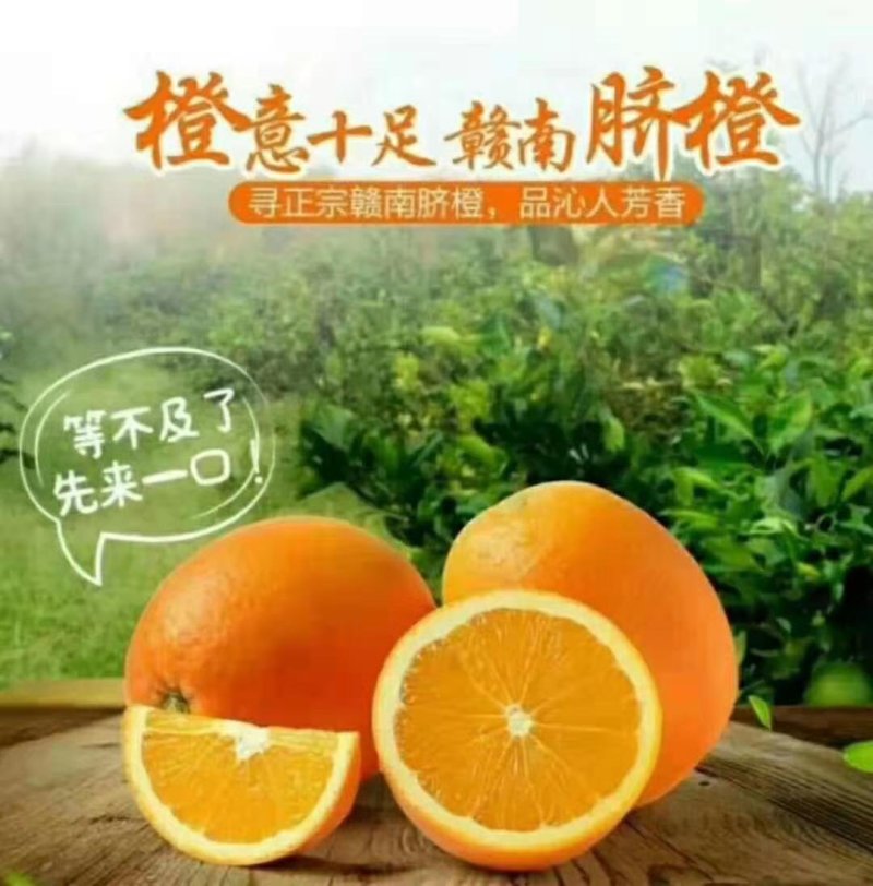 赣南脐橙现摘现发一件代发批发。