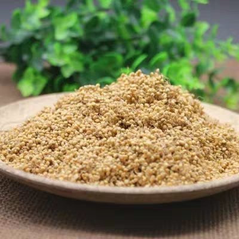 生谷芽包邮价粟芽、蘖米、谷蘖谷芽农家初选