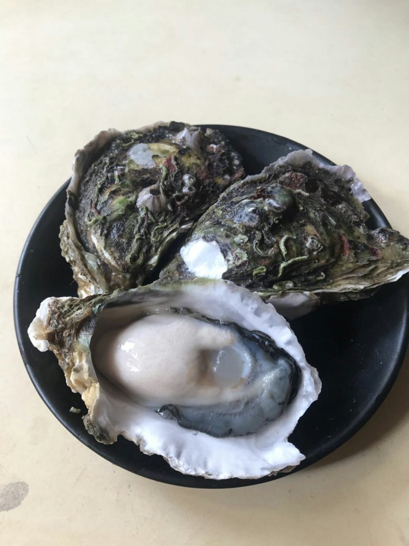 生蚝鲜活全壳新鲜深海牡蛎烧烤深海吊养海蛎子