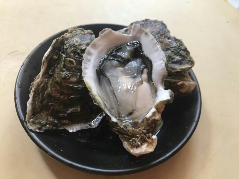 生蚝鲜活全壳新鲜深海牡蛎烧烤深海吊养海蛎子