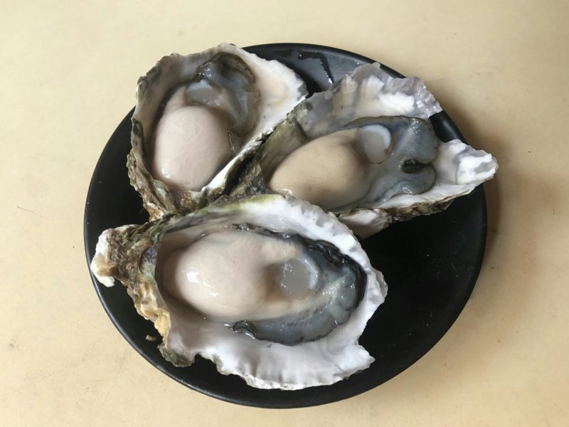 生蚝鲜活全壳新鲜深海牡蛎烧烤深海吊养海蛎子