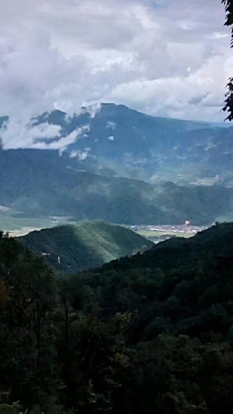 野生甜苦蜂蜜咖啡味道