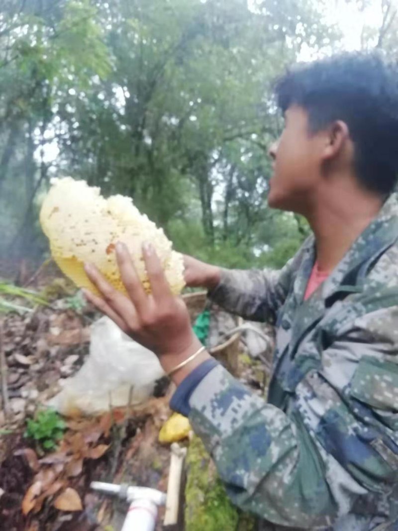 野生甜苦蜂蜜咖啡味道