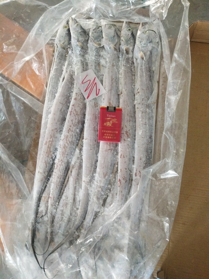 舟山精品带鱼