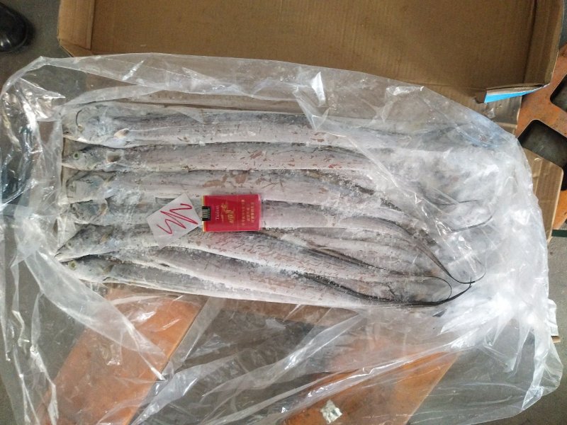 舟山精品带鱼