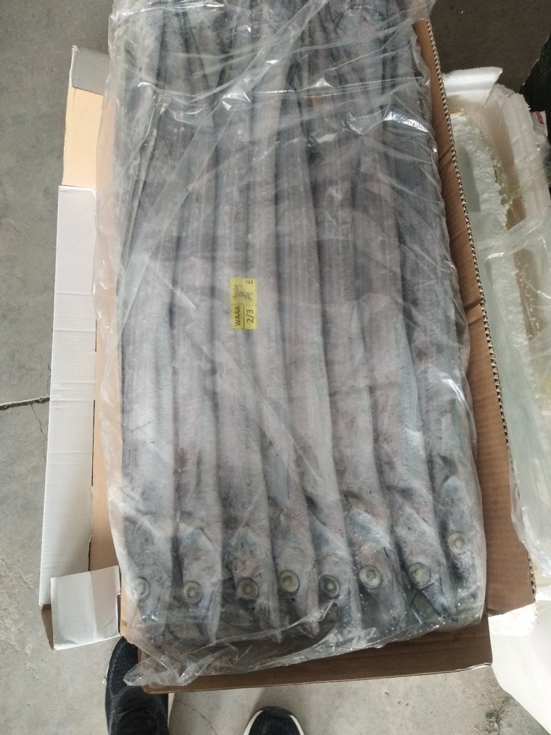 舟山精品带鱼