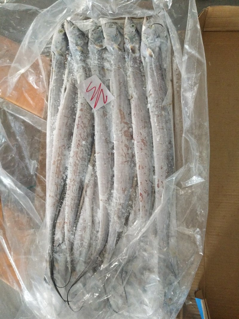 舟山精品带鱼
