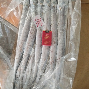 舟山精品带鱼