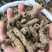 巴戟天巴戟肉中药材去芯巴戟天广东1公斤起批