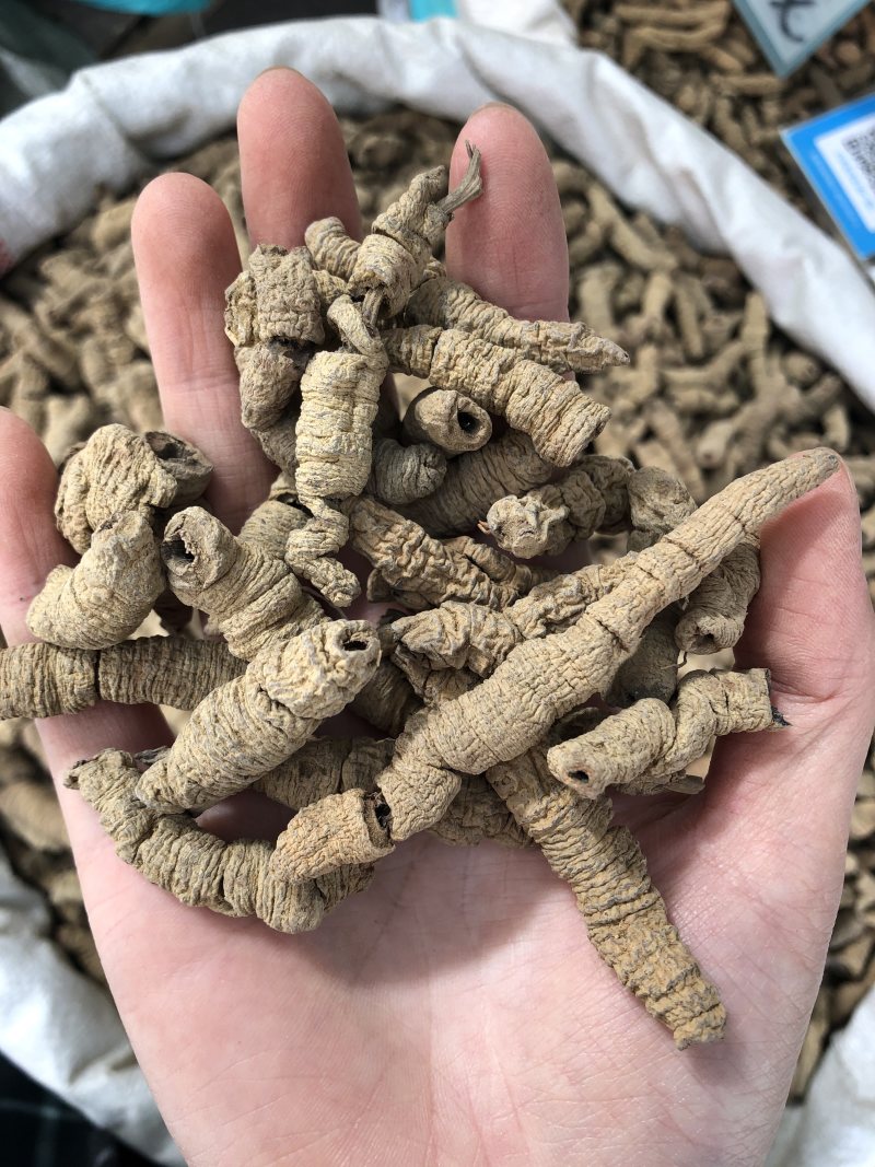 巴戟天巴戟肉中药材去芯巴戟天广东1公斤起批