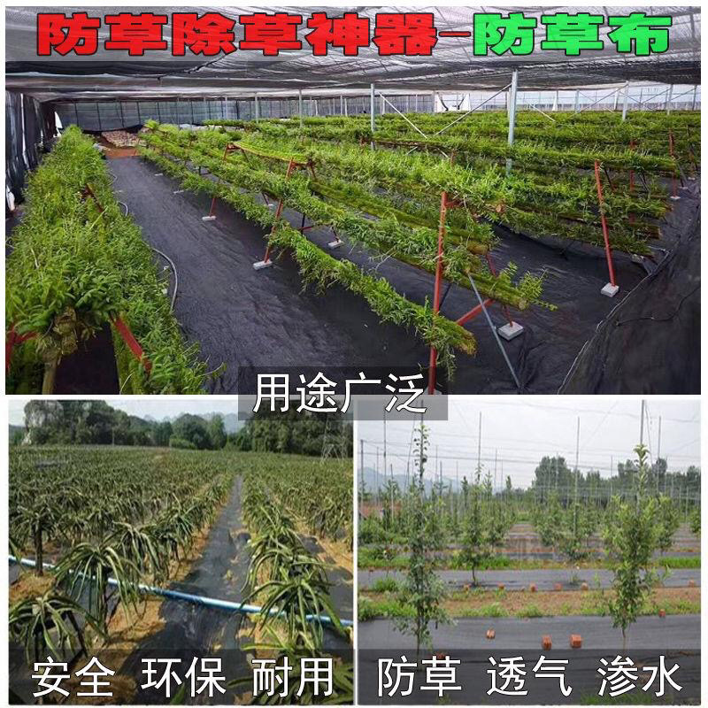 果园防草布除草布果树保湿布遮草布席园林农用地布地膜