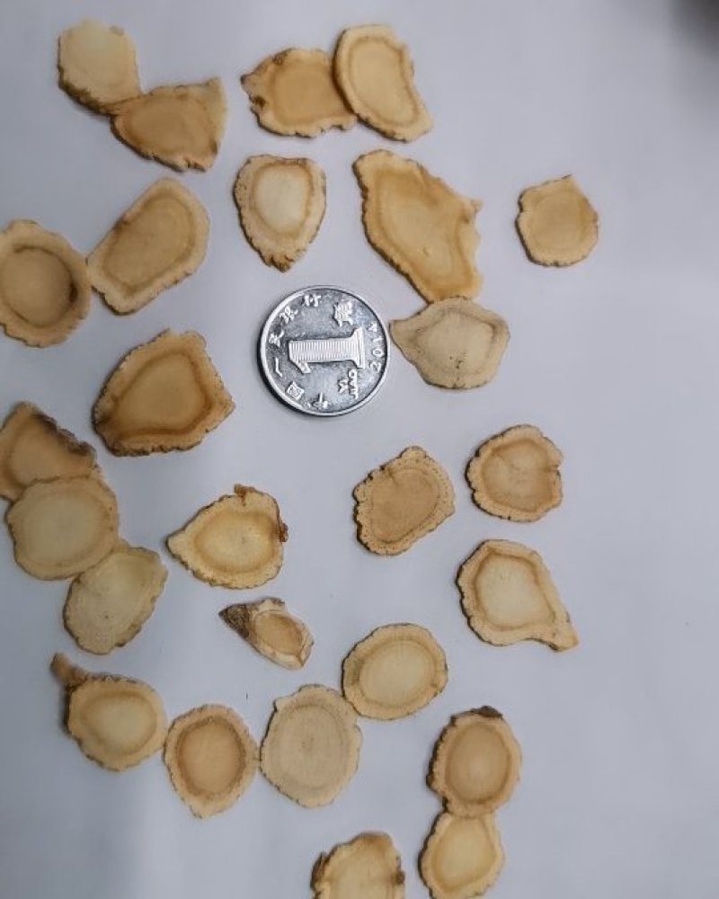 大量批发各种规格的西洋参价格低