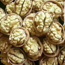 新疆核桃大量批发今年新货新疆核桃质量保证