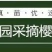 车厘子苗大樱桃苗俄8红灯美早乌克兰玛瑙红基地直发包技术