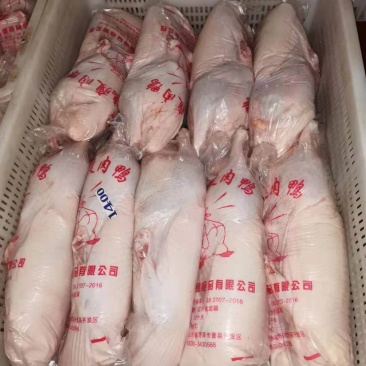 批发各规格白条鸭，诚招地市级代理商