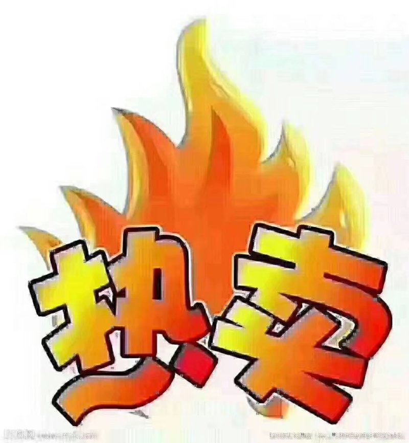 二十四孝亲白酒酱香型