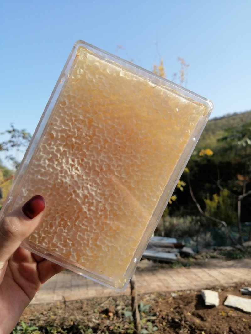 百花巢蜜荆条巢蜜原蜜天然品质高包邮可做一件代发