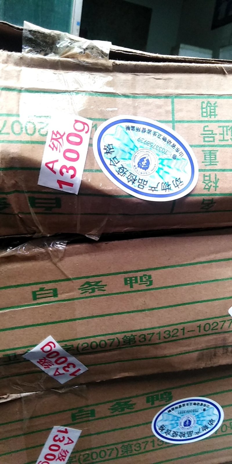1300千克白条鸭