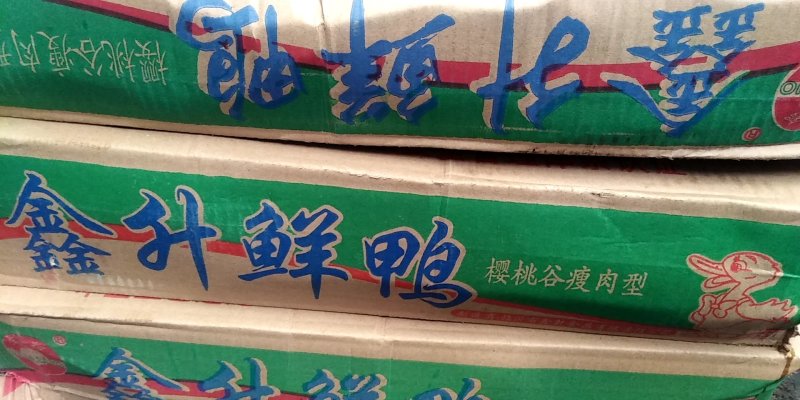 1300千克白条鸭