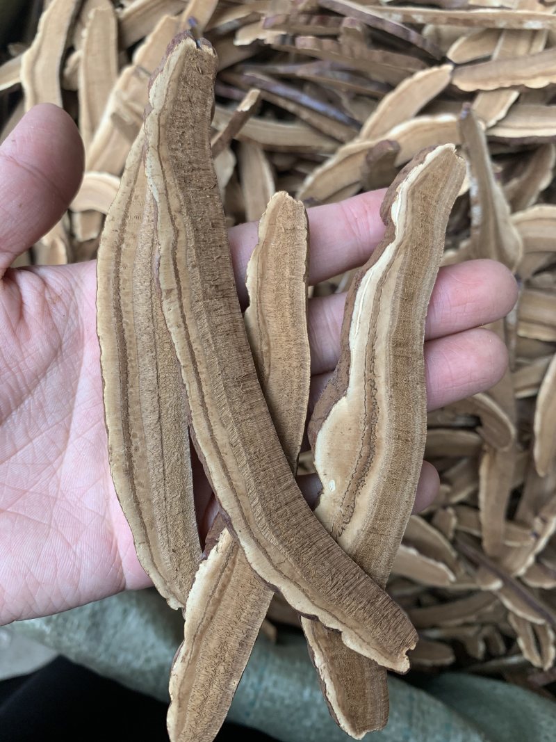 药用灵芝灵芝片灵芝圆片中药材